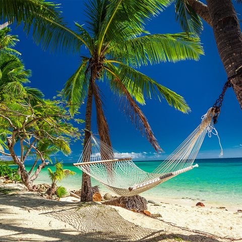 Empty hammock in the shade of palm trees,  Fiji