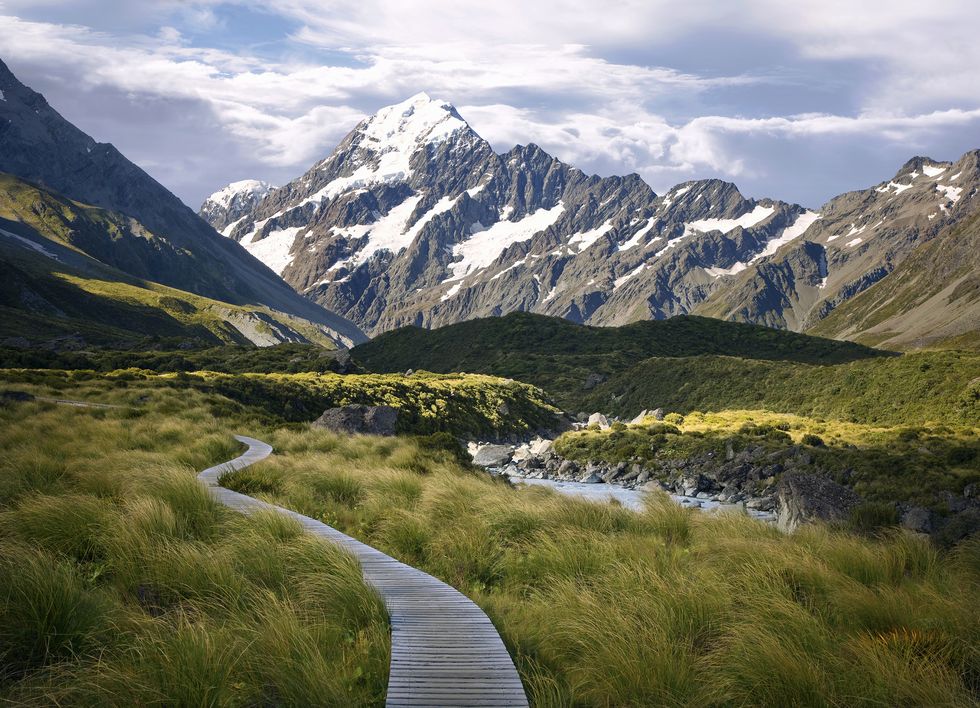 Trail to Mt. Cook, South Island, New Zealand