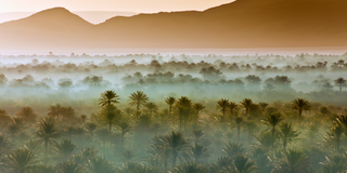 where to honeymoon in 2022