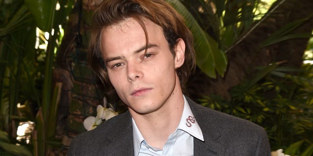 Hair, Face, Eyebrow, Forehead, Hairstyle, Chin, Nose, Cheek, Jaw, Lip, 