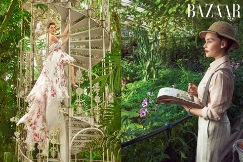 Dress, Botany, Plant, Wedding dress, Tree, Gown, Adaptation, Forest, Photo shoot, Flower, 