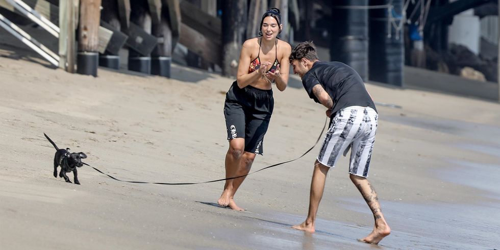exclusive malibu, ca    web embargo until 1pm pdt on 082420 singer dua lipa and boyfriend anwar hadid took their new puppy out for a beach stroll with a few friends on her birthday  the young and talented star turns 25 today shot on 08222020pictured dua lipa, anwar hadidbackgrid usa 23 august 2020 usa 1 310 798 9111  usasalesbackgridcomuk 44 208 344 2007  uksalesbackgridcomuk clients   pictures containing childrenplease pixelate face prior to publication