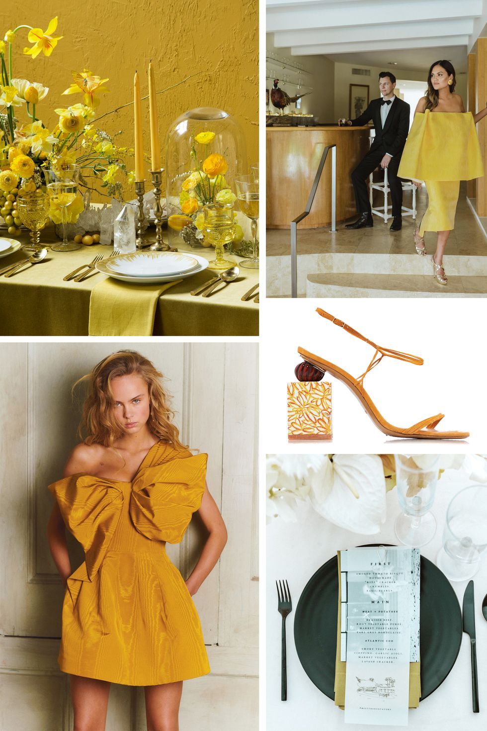 Yellow, Orange, Dress, Peach, Room, Plant, Style, Interior design, Wildflower, 