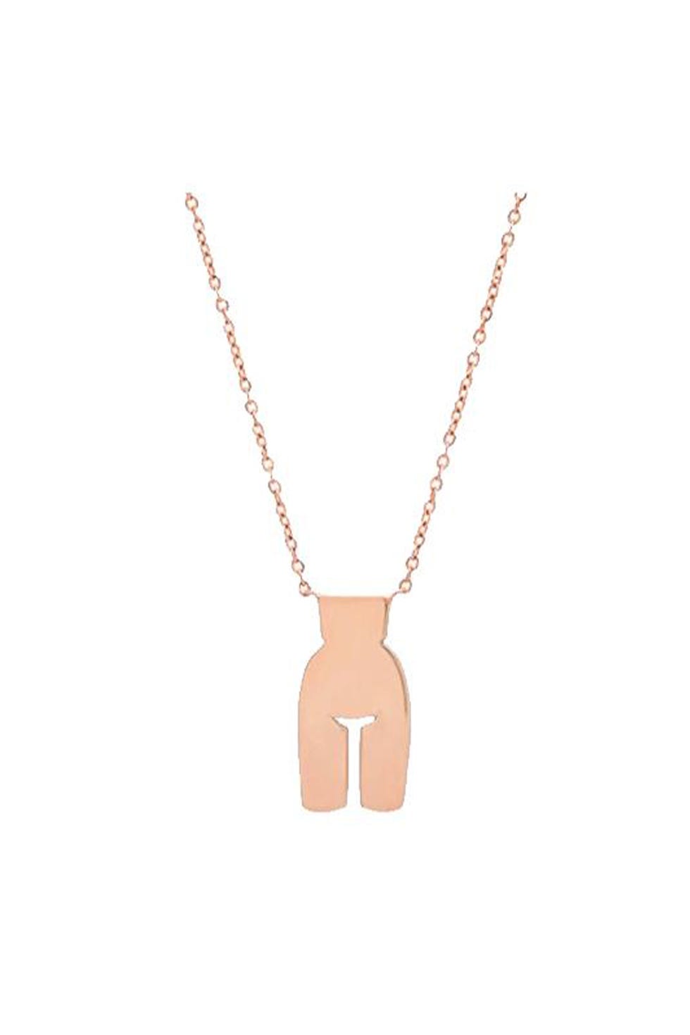 Necklace, Pendant, Jewellery, Fashion accessory, Chain, Locket, Metal, 
