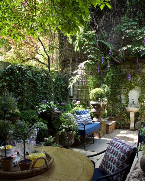 Garden, Backyard, Patio, Majorelle blue, Tree, Botany, Room, Plant, Yard, Landscaping, 