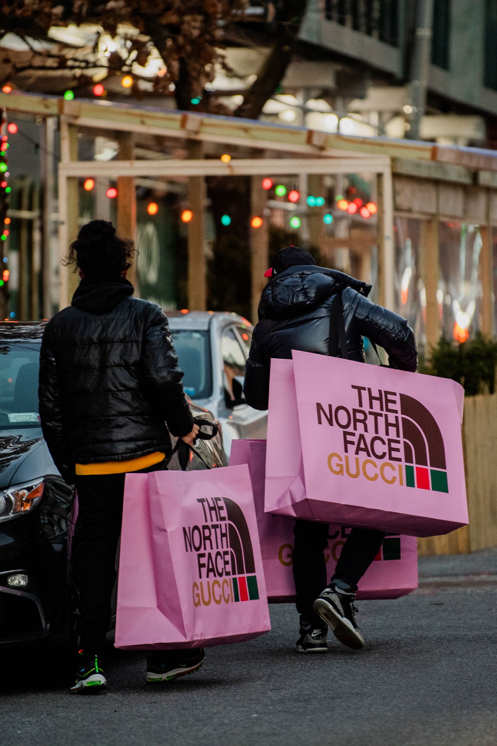 North face shop shopping bag