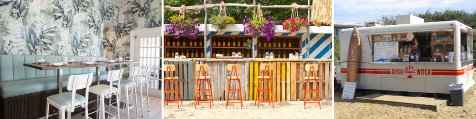 Flower, Flowerpot, Petal, Purple, Stool, Paint, Bar stool, Lavender, Violet, Floristry, 