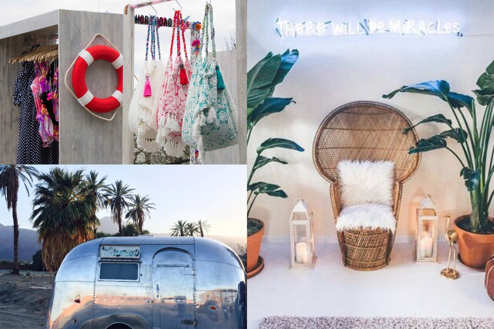 Interior design, Wicker, Flowerpot, Home accessories, Collage, Twig, Basket, Still life photography, Houseplant, Palm tree, 