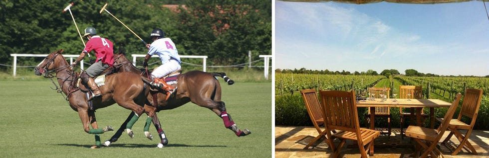 Horse, Bridle, Rein, Polo, Animal sports, Stick and Ball Sports, Saddle, Stick and Ball Games, Halter, Horse tack, 