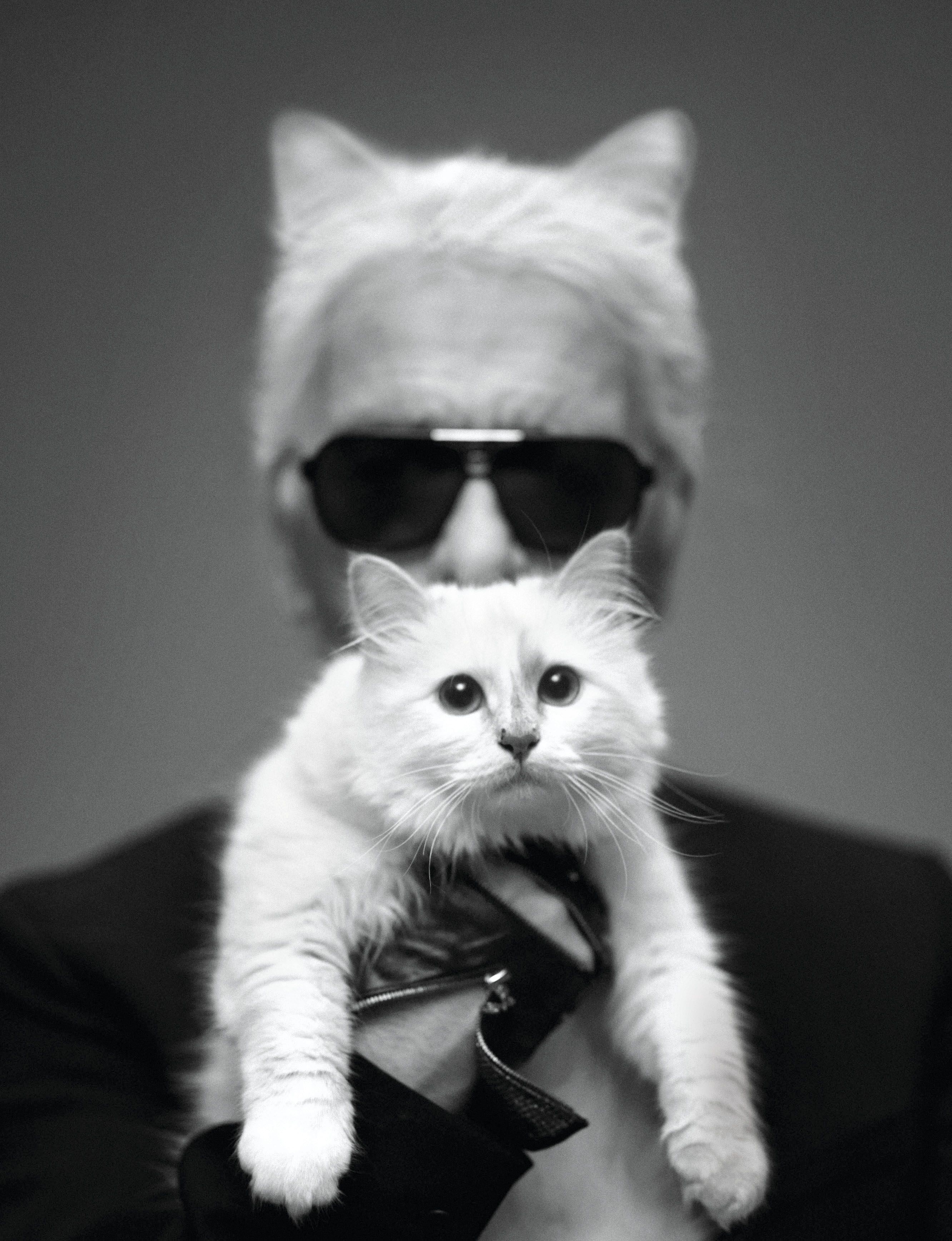 karl lagerfeld cat: Karl Lagerfeld's pet cat Choupette reveals why she  decided to ditch Met Gala 2023 red carpet - The Economic Times
