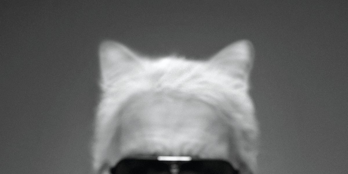 hartstochtelijk verlegen Evenement Everything to Know About Karl Lagerfeld's Chic Cat, Choupette