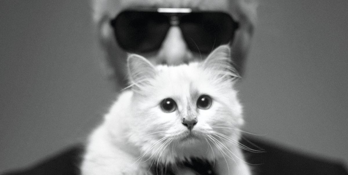 Everything to Know About Karl Lagerfeld’s Chic Cat, Choupette