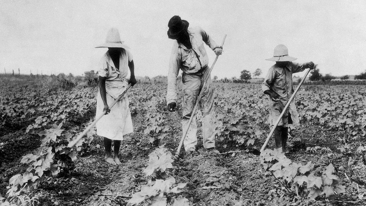 African American Cotton Pickers Day Shines a Light on the Complex