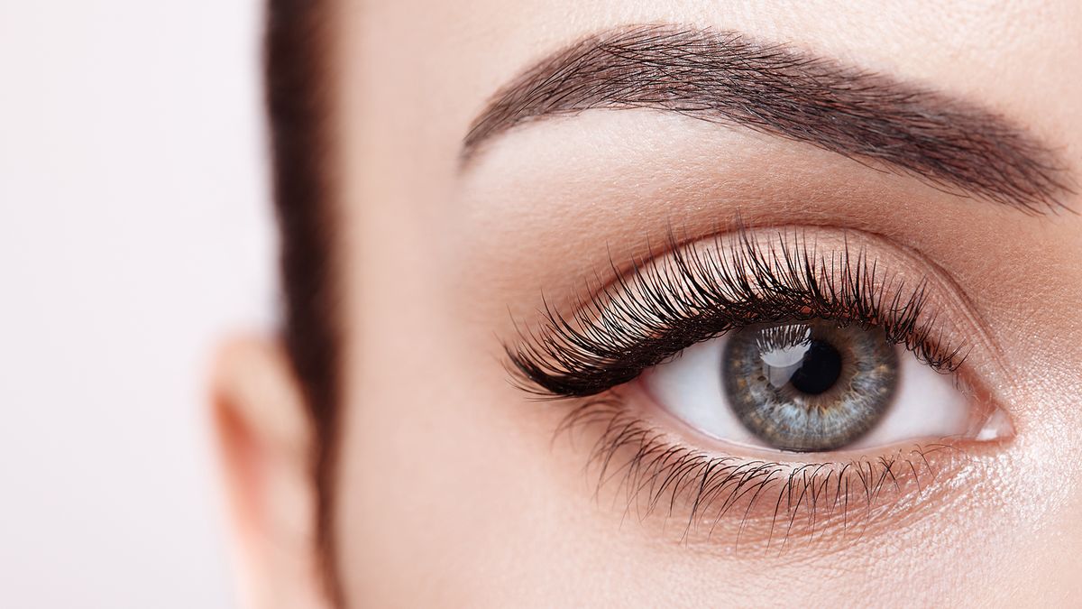 What Is Eyebrow Microshading? Cost, Results, Photos of Brow Treatment