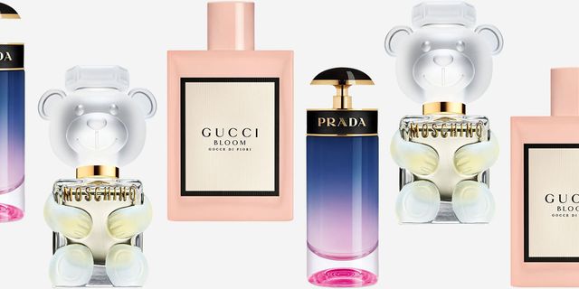Which has better perfume fragrance, gucci or Dior? - Quora