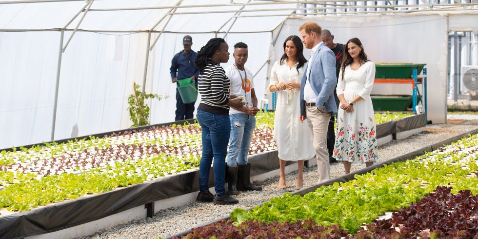 Community, Botany, Adaptation, Spring, Plant, Greenhouse, Event, Flower, Plantation, Garden, 