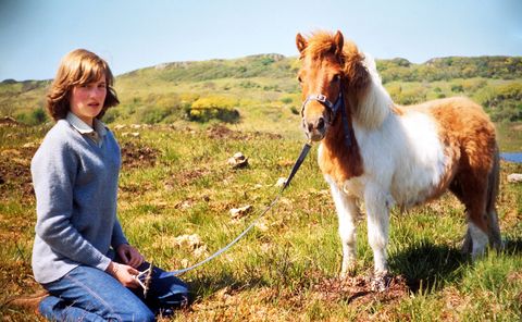 Horse, People in nature, Mammal, Pony, Pasture, Shetland pony, Natural landscape, Grassland, Mane, Friendship, 