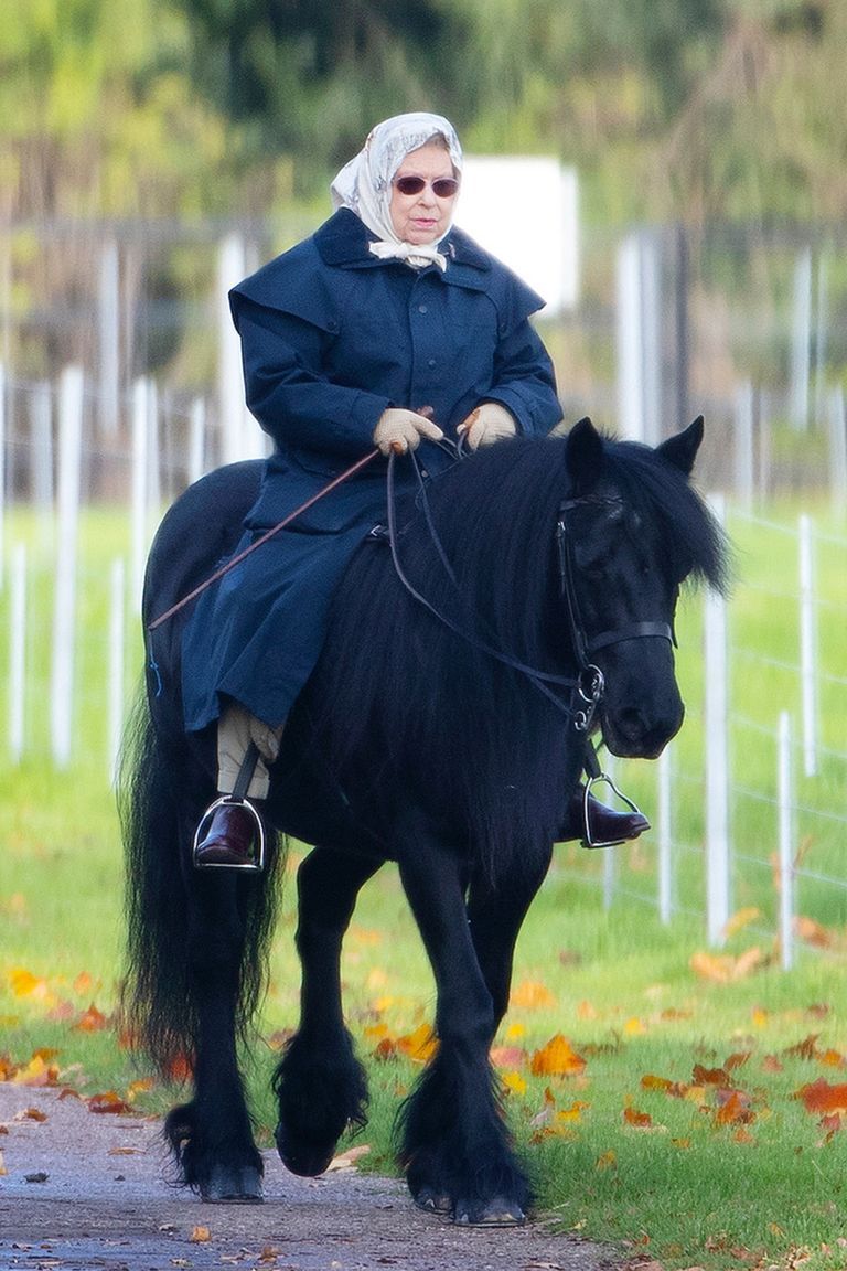 queen elizabeth ii rides horse