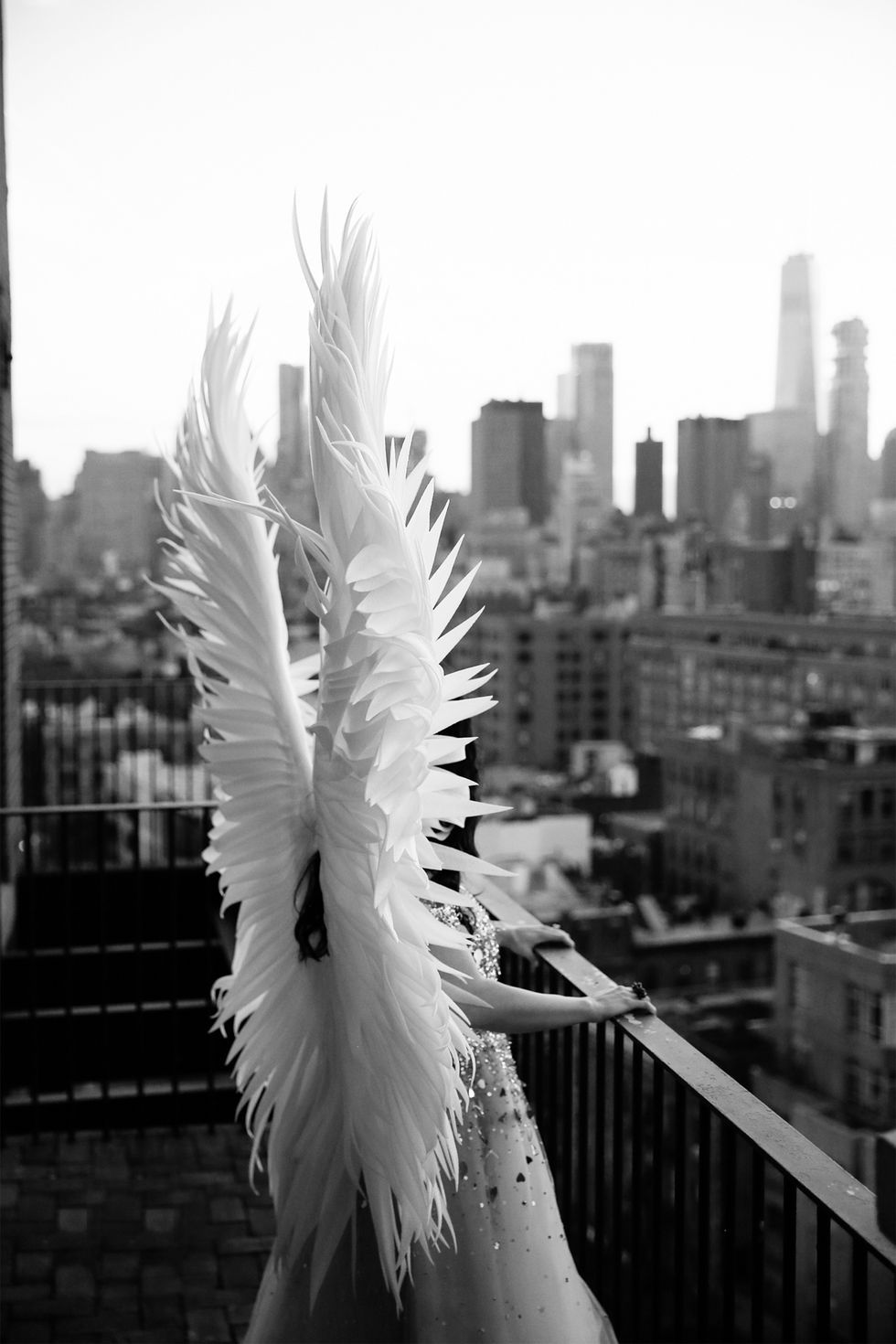 White, Feather, Black, Black-and-white, Wing, Monochrome photography, Water, Bird, Skyscraper, Photography, 