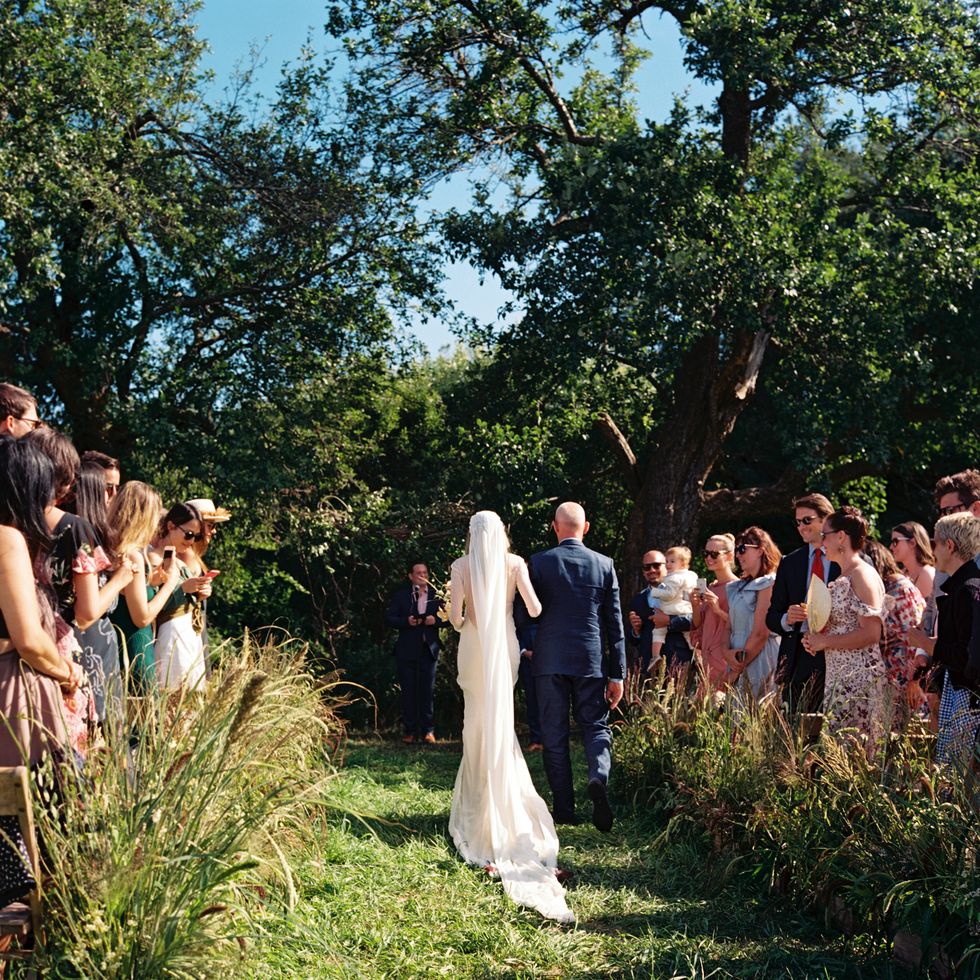Photograph, Ceremony, Bride, Wedding, Dress, Event, Wedding dress, Botany, Tree, Bridal clothing, 