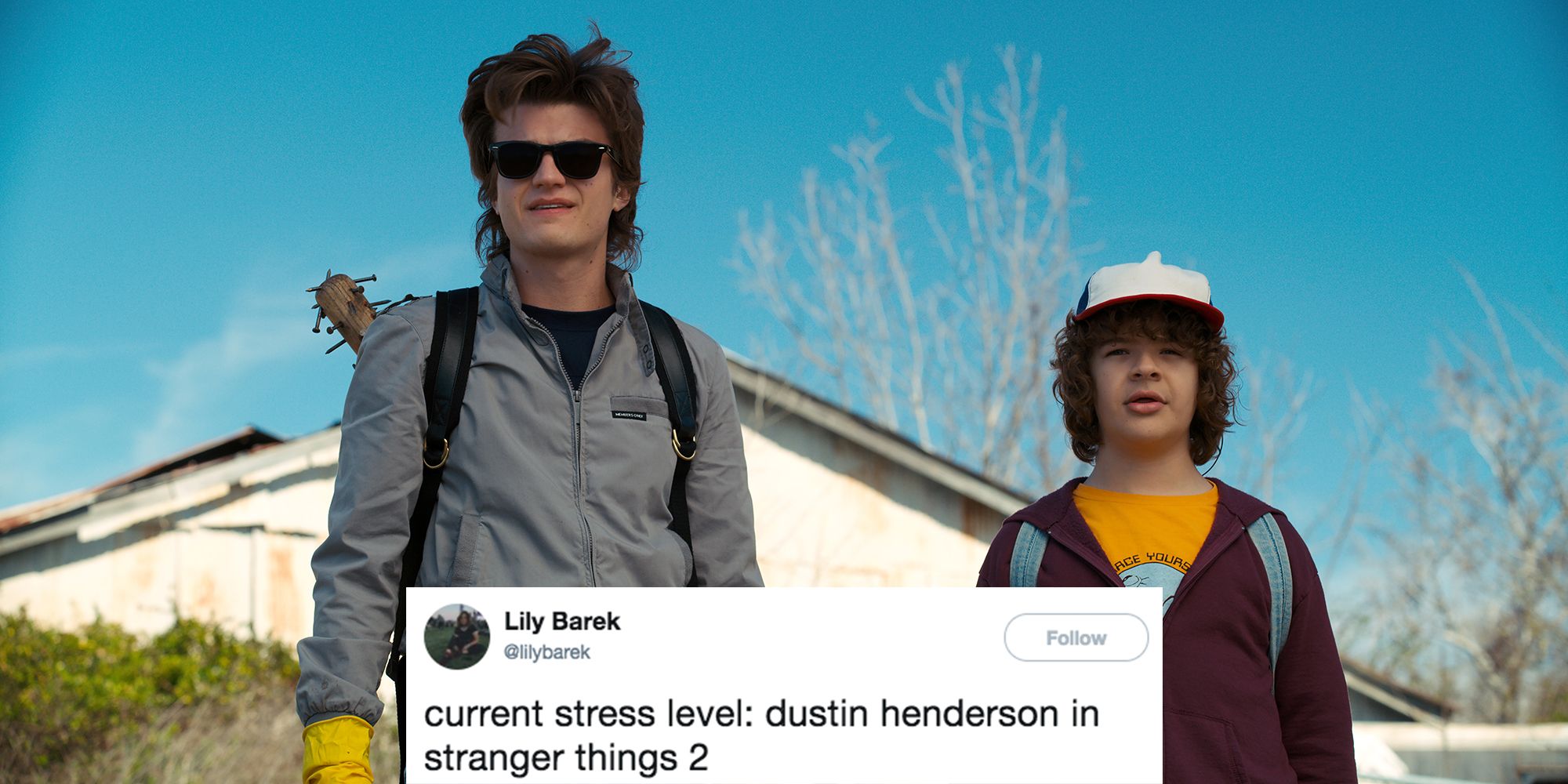 Funny Stranger Things Memes Best Gifs and Tweets About Stranger