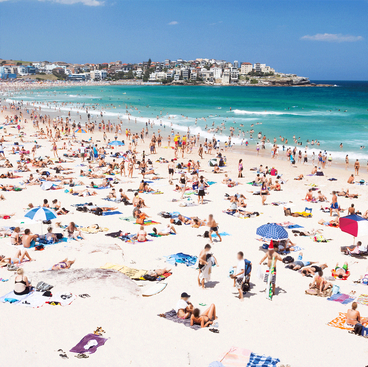 80 Things To Do In Sydney Australia Best Restaurants Beaches And Tourist Attractions In Syndey