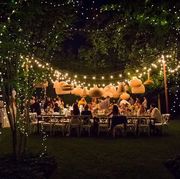 Lighting, Event, Ceremony, Night, Tree, Stage, Wedding reception, Landscape lighting, Function hall, Party, 