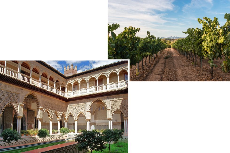 Architecture, Building, Estate, Real estate, House, Tree, Adaptation, Palace, Hacienda, Historic site, 