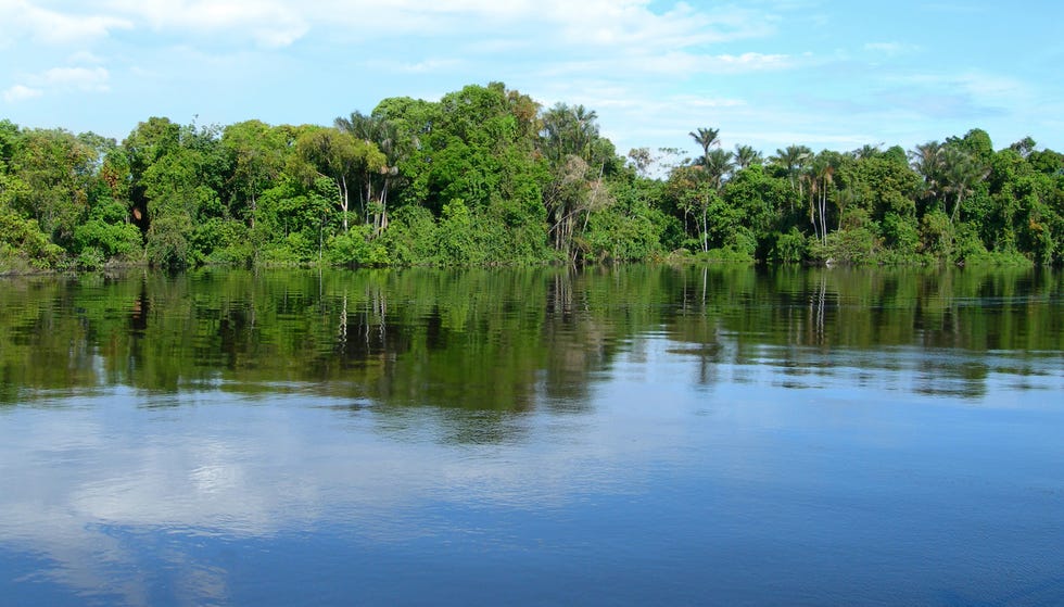 Body of water, Natural landscape, Nature, Water, Vegetation, Reflection, Natural environment, Bank, Nature reserve, Water resources, 