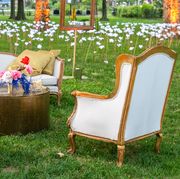 Furniture, Chair, Table, Outdoor furniture, Room, Grass, Wicker, Lawn, Patio, Yard, 