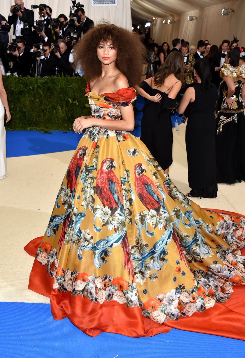 Zendaya Wears Dolce & Gabbana to the Met Gala - Zendaya Met Gala Dress