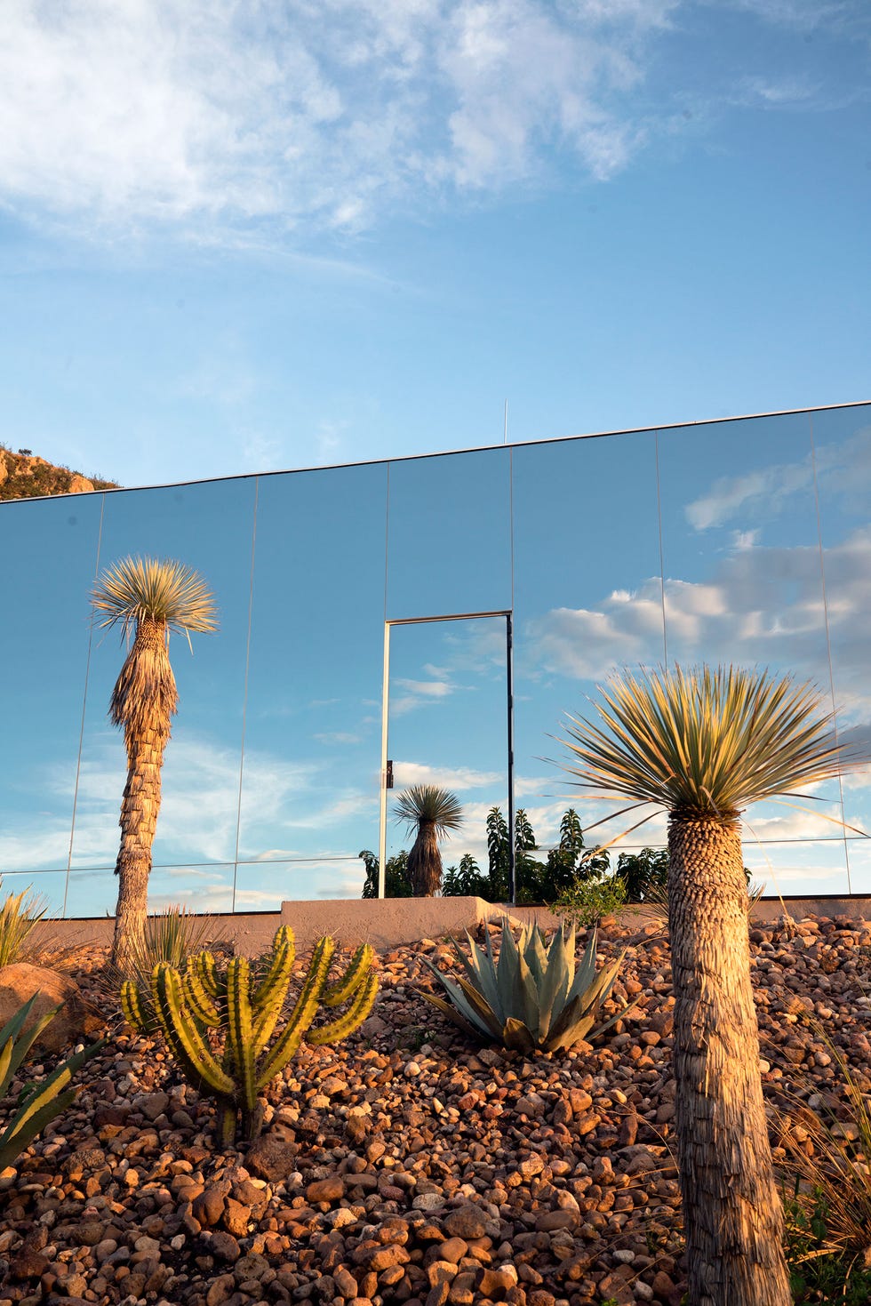 reflective wall with surrounding desert vegetation