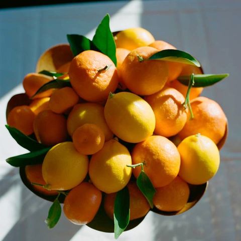 a citrus arrangement courtesy chez panisse family meal