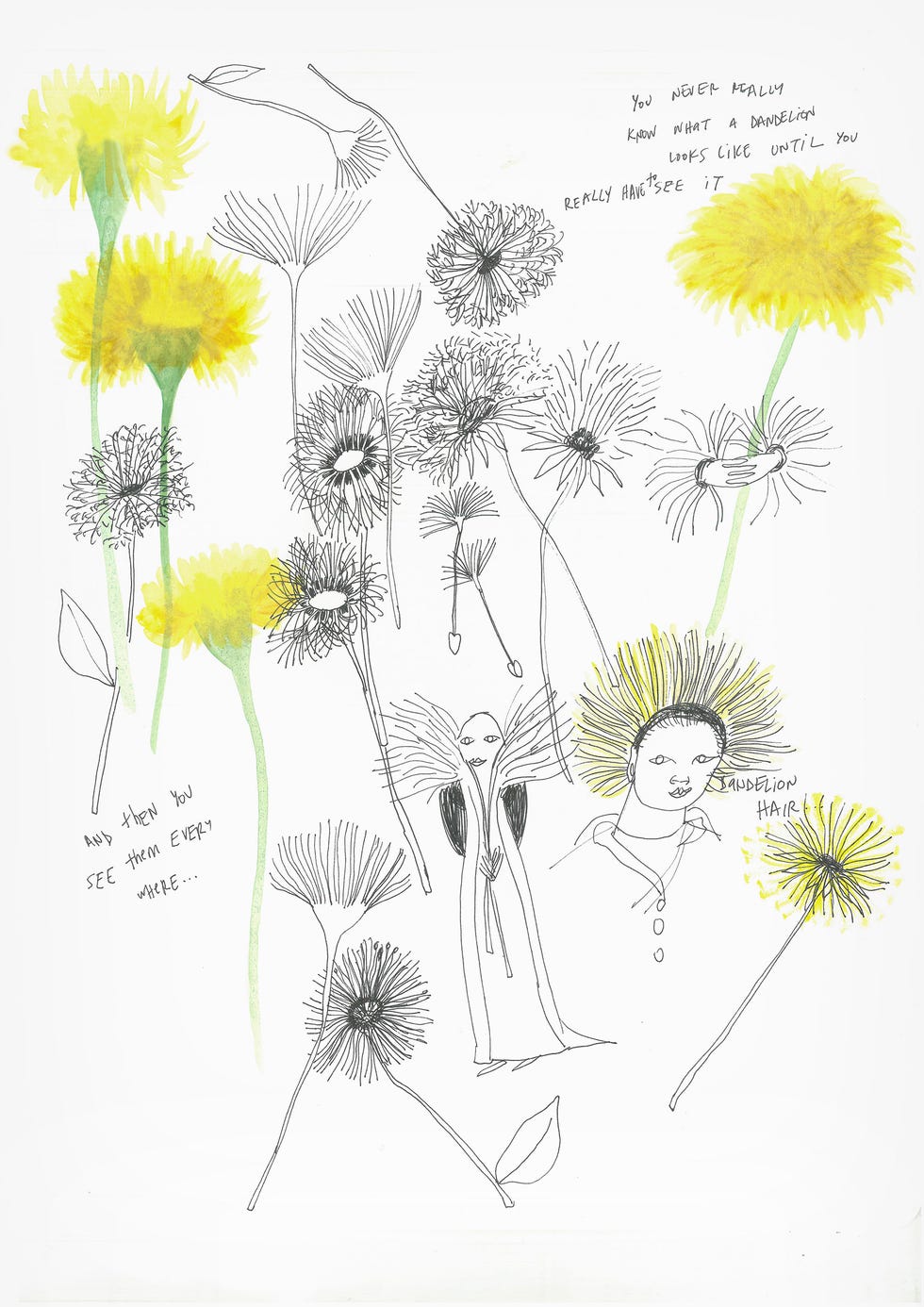 illustration showcasing various dandelion flowers and stylized figures