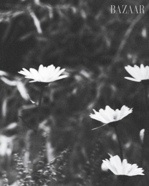 black and white image of flowers