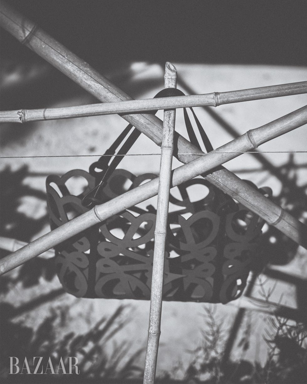 black and white photo of sticks