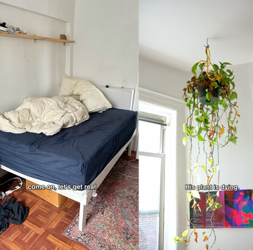 a bedroom with a bed and a plant