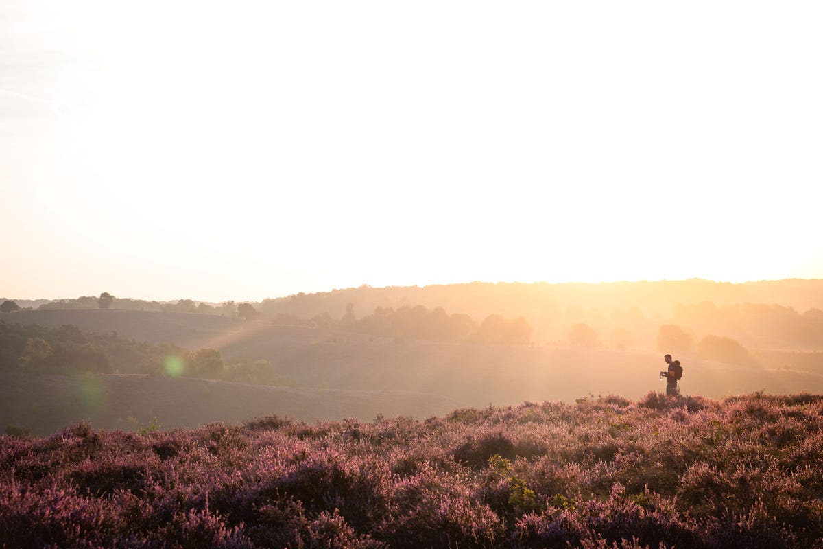 De Posbank Veluwe in het ochtendlicht