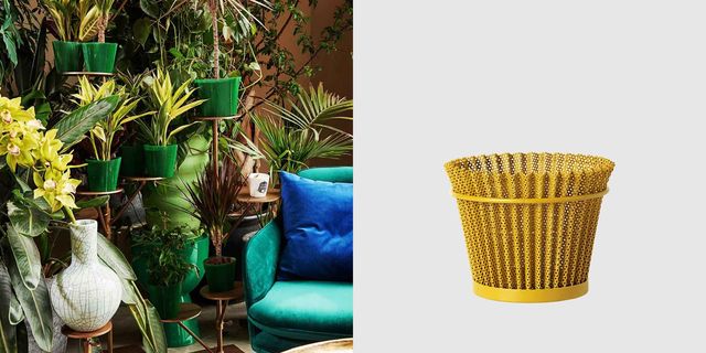 Green, Flowerpot, Yellow, Wicker, Turquoise, Chair, Furniture, Grass, Plant, Bamboo, 