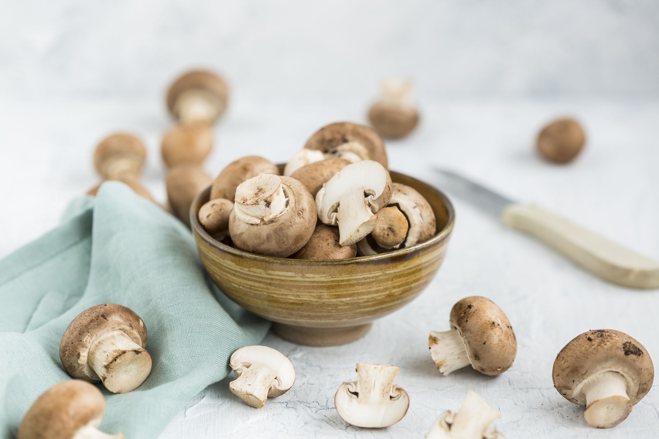 The Best 11 Healthiest Types Of Mushrooms For Immunity, Benefits