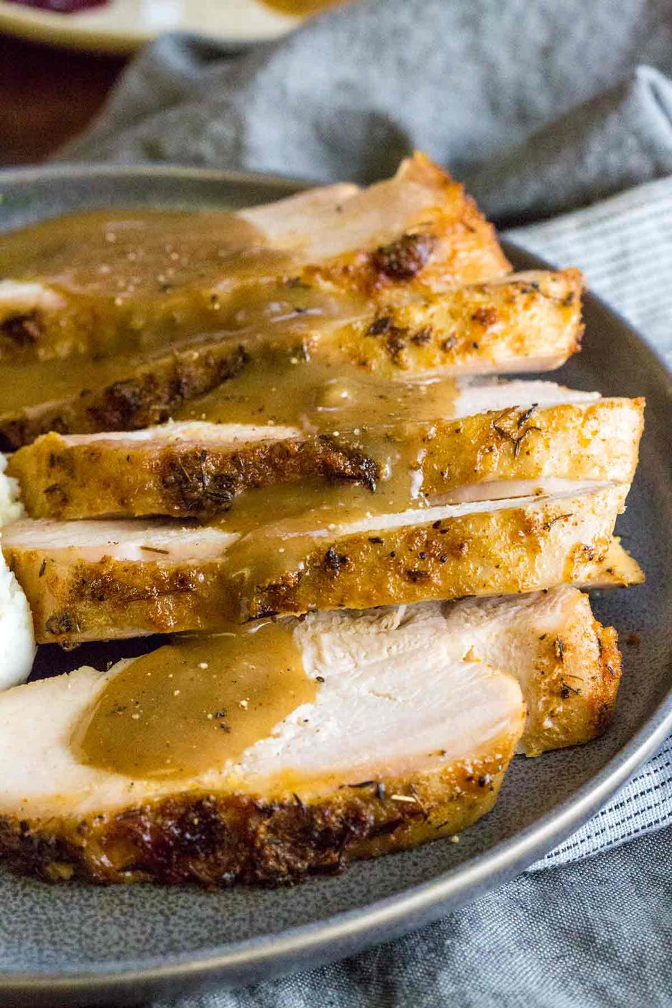 https://hips.hearstapps.com/hmg-prod/images/healthy-crock-pot-recipes-slow-cooker-turkey-breast-with-gravy-6595d134390bd.jpeg?crop=1.00xw:0.667xh;0,0.228xh&resize=980:*