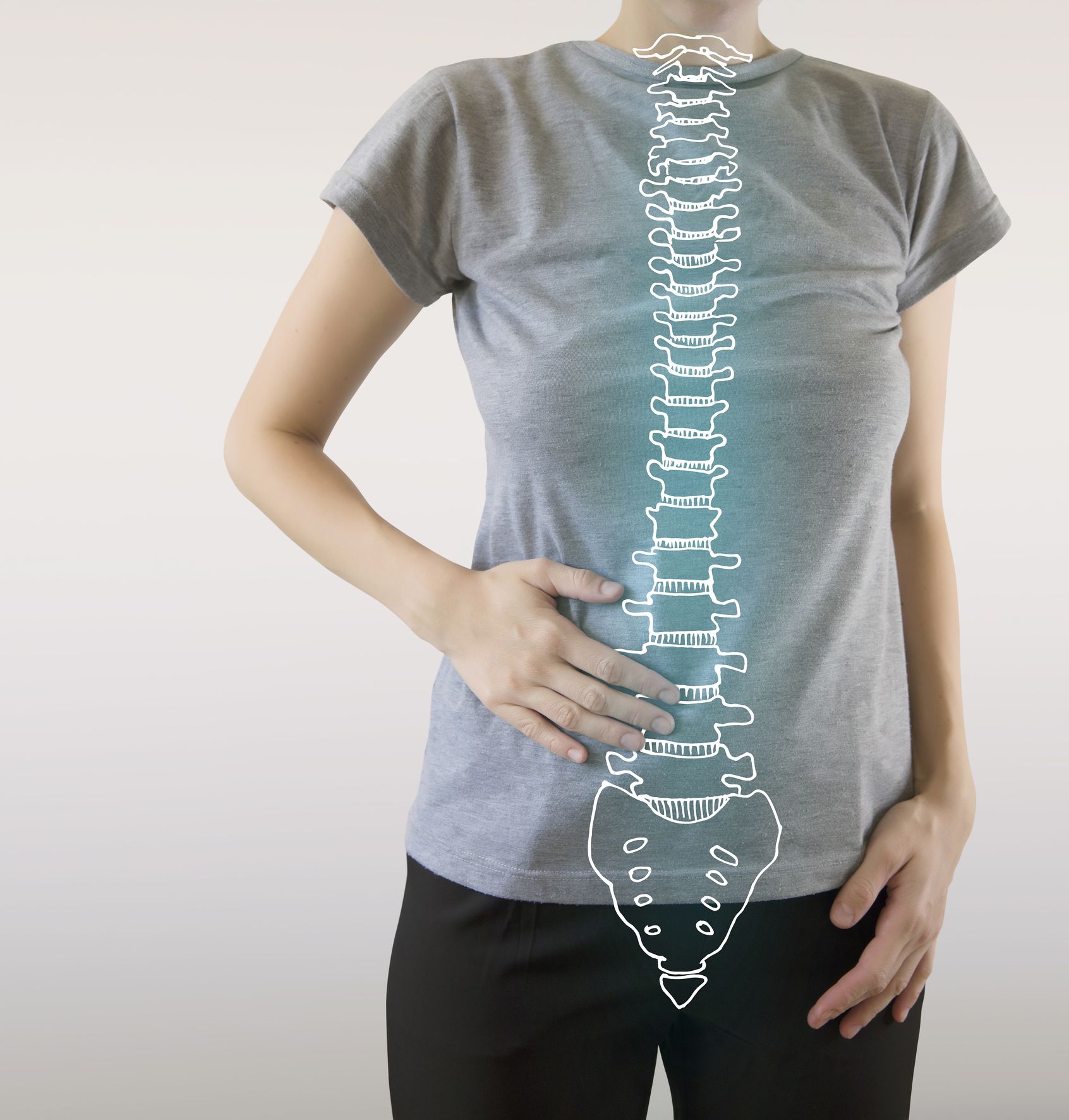 healthy human spine colored blue, x ray vector visualisation