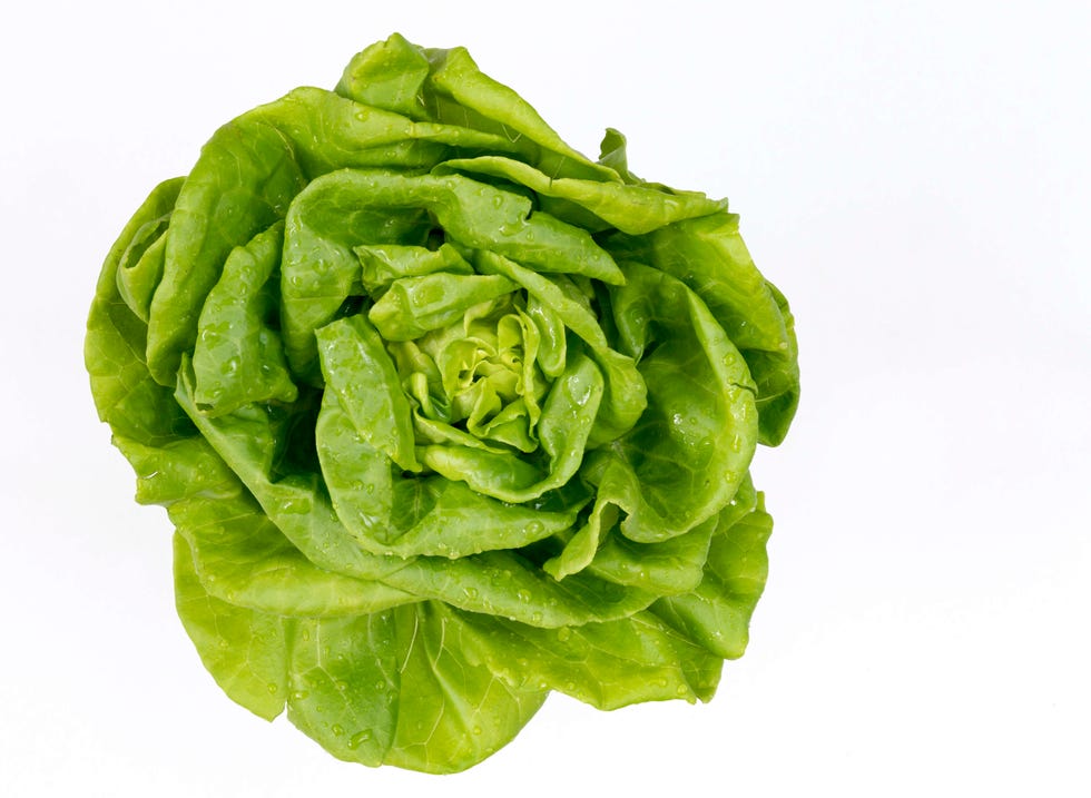 healthy produce or food boston lettuce high view of a