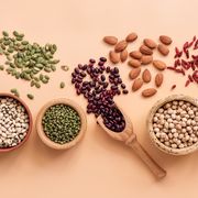 healthy plant proteins