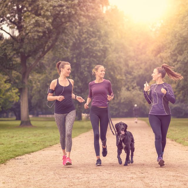 Healthy Women Jogging at the Park with a Dog