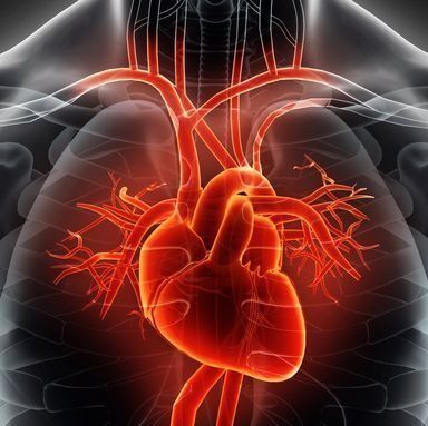 心臓病（心筋梗塞・狭心症など）の予防が期待できる食べ物11選