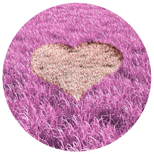 Purple, Violet, Magenta, Pink, Lavender, Pattern, Heart, Colorfulness, Love, Lilac,