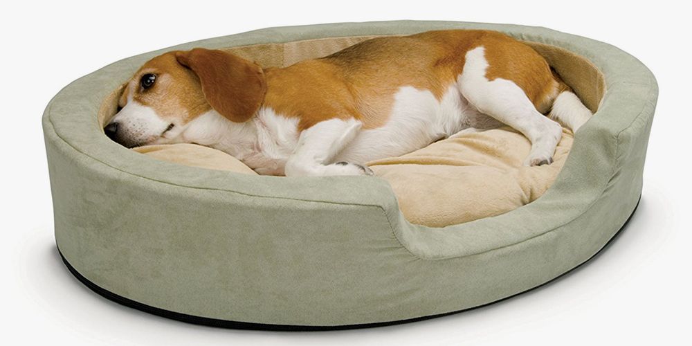 Dog bed, Canidae, Dog, Dog breed, Companion dog, Dog supply, Furniture, Carnivore, Pet supply, Harrier, 