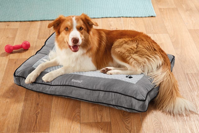 Lidl launches heated dog bed