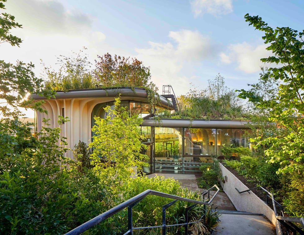 the exterior of a building surrounded by plants